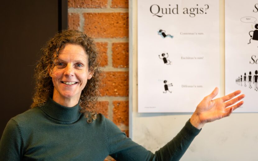 Docente, uitleg geven, les